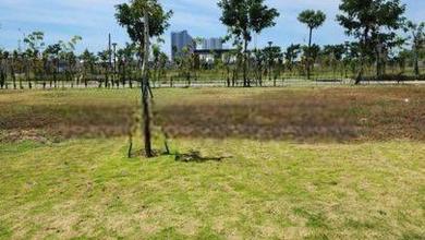 Dijual Kavling Residensial Pik 2 Luas 450M2 Masih Nego