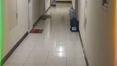 Dijual Apartemen Teluk Intan Tipe Studio