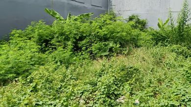 Dijual Cepat Tanah di Perumahan Green Garden