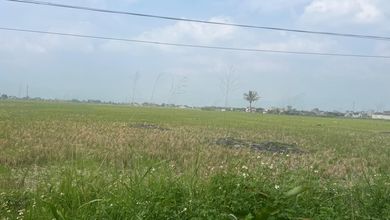 Dijual Tanah 4 Hektar di Rancaekek, Bandung, Rp 1.75 JT / m²