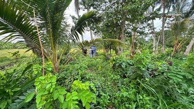 Dijual Tanah Anyer Pandeglang Dekat Hotel Lippo , Archipelago  Tanah di Anyer, Pandeglang SHM - Sertifikat Hak Milik 43800 Squaremeter