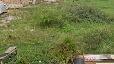 Dijual Tanah Kalideres Besar Luar Akses Strategis Tanah di Kalideres SHM - Sertifikat Hak Milik 3900 Squaremeter