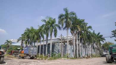 Gudang sunter luas 1943 meter, lp251211xxxxjul