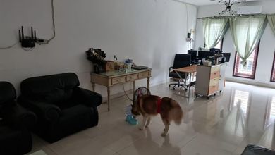 Dijual Cepat Rumah Rapih Siap Huni Di Sunter Paradise