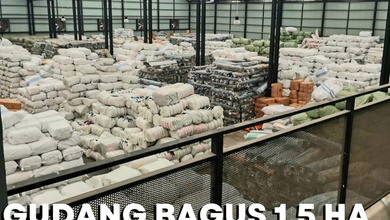 DIJUAL GUDANG RAPIH BAGUS PETERNAKAN KAPUK