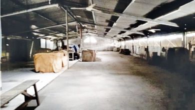 Gudang ex Pabrik Kapuk Kamal LT 1063 Siap Pakai !