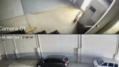 Gudang Bizzpark Daan Mogot