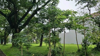 Dijual Cepat! Kavling Alam Sutera Posisi Hoek Luas 742 M2