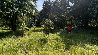 Disewakan Kavling Dilebak Wangi Parung Bogor