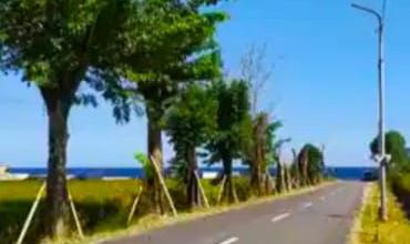 For Sale Land In Gianyar, Bali