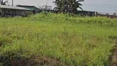 O Disewakan Atau Dikerja samakan Lahan di Pinggir Jalan Dalam Kondisi Terpagar Dekat Pasar Natar di Kawasan Industri