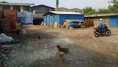 o DIJUAL/DISEWA GUDANG LS TNH 1,100M2 DAN LS BGN 500 M2 HARGA JUAL 12,5 JUTA/M2 DAN SEWA rP. 350 JT/THN