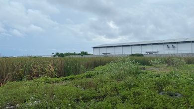 Dijual Dan Disewa Kavling di Jln Raya Kosambi Dadap, Tangerang