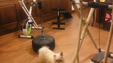 Jual rumah di taman palem lestari