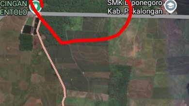 Dijual Tanah Sidomukti Pekalongan 100 M Dari Sumber Mata Air