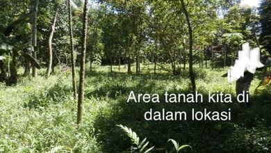 Di Jual Tanah Mekar Sari Rumpin, Bogor SHM 5205 m²