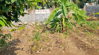 DiJual/Sewa Tanah Kedoya Lokasi bagus Posisi Strategis Jalan Besar 1100 m² SHM