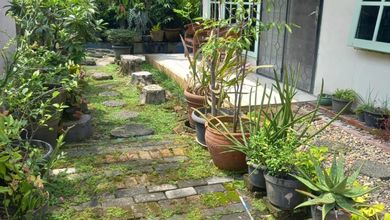 *** Rumah di Pasar baru SHM Butuh Renovasi Barat***