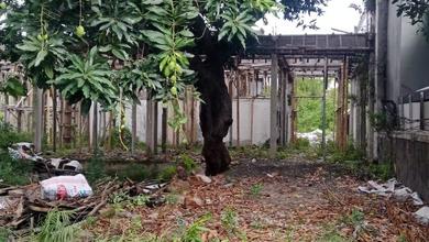 Di Sewakan Kavling Di Mangga Besar Raya 