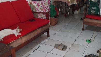 Rumah Tua di Ketapang Utara Gajah mada. Butuh renovasi itung tanah