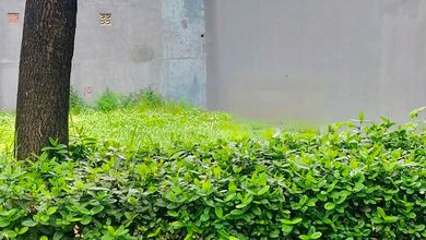 Tanah di Puri Metland, Jl. Puri Utama, Petir, Cipondoh, Kota Tangerang, Banten, Indonesia, 15147, Petir SHM