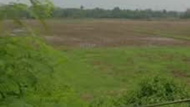 Dijual Tanah Panongan Legok Cocok untuk Pergudangan, Kawasan Peruntukan Industri