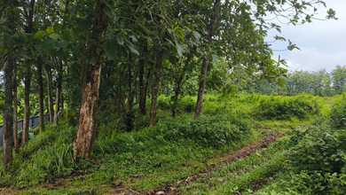 Dijual Cepat Tanah Kavling Industri Murah Siap Bangun