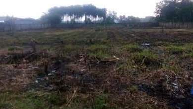 Dijual Cepat Tanah Kavling Industri Tigaraksa Murah Siap Bangun