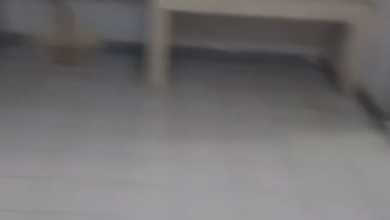 Dijual / Disewa Ruko Siap Pakai di Jl Peta Selatan Kalideres