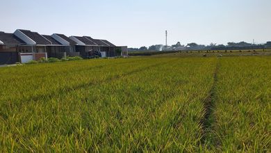 Jual Murah kavling untuk Perumahan Katapang Sukamukti dekat Almas