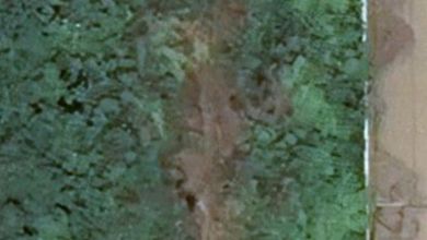 Disewakan Tanah Pluit