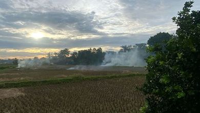 Kavling Legok Sawah Padat Dekat Blessindo