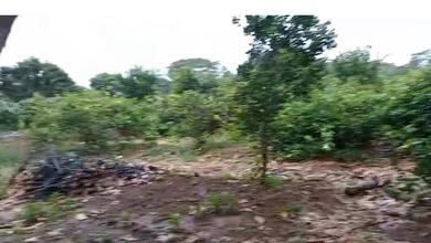 Dijual Tanah Peternakan 25Ha di Subang, Jawa Barat