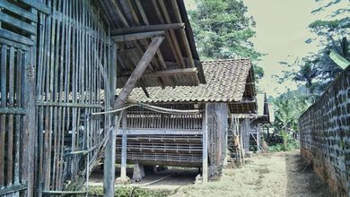 Dijual Peternakan Ayam D Baturaden Purwokerto Lokasi Strategis Pinggir Jalan Raya