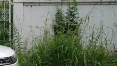 Dijual Kavling di Pluit Timur Residence