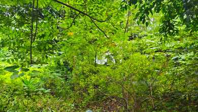 Dijual Kavling di Tegal Alur Cengkareng. Lokasi Strategis