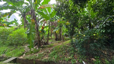 Dijual Cepat Kavling Pantai Indah Kapuk