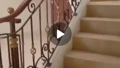 Dijual Cepat Rumah Metland Puri