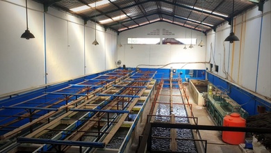 Dijual Gudang Bebas Banjir Di Kapuk Kamal Lb.645m2 