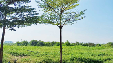 Dijual Kavling Pantai Indah Kapuk 2 Pantai Bukit Villa Pik2