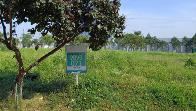 Dijual Kavling Pik2 Pantai Bukit Villa Pantai Indah Kapuk 2