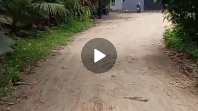 Dijual Gudang di Tanjung Burung Teluk Naga Siap Pakai