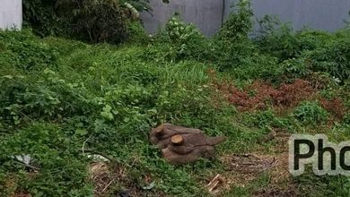 Dijual Kav Di Ancol Cluster Parang Tritis