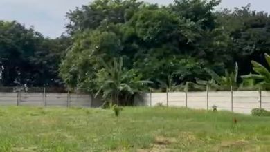 Kavling Boulevard Di Sunter, Jakarta Utara