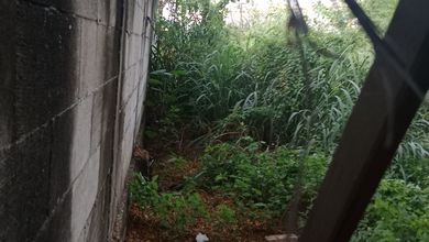 Jual Tanah lokasi strategis akses kontener 40