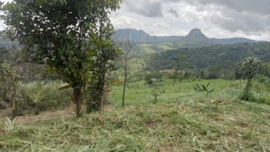 Di Jual Tanah 2,3 Ha Di Jonggol Jawa Barat