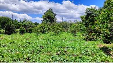 Tanah Kavling Depok 3396m2 Di Sawangan Untuk Perumahan