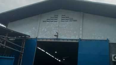 Gudang Kapuk Bu Murah Premium Furnish