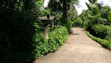 Deket Gudang Alfa Parung. Pasar Parung. Mall Parung. Wisata Gunung Sindur 
