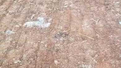 Dijual dan Disewa Tanh di Curug Tangerang. Luas 2000m